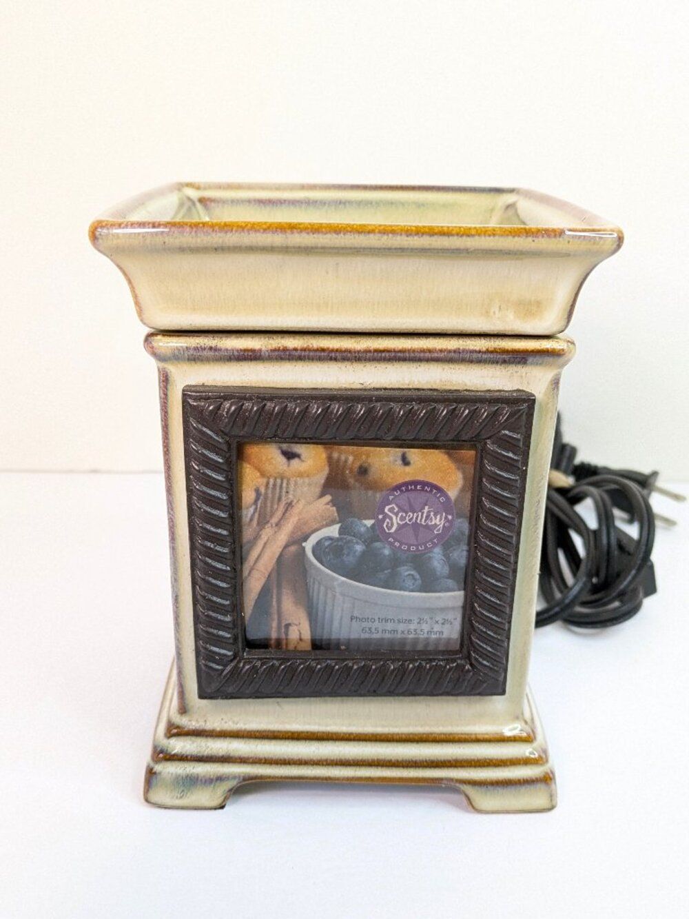 Scentsy Snapshot Wax Warmer Full Size Interchangeable Photo 2015